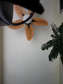 theclubist111 (M grandpa) - Tokens vibrate my cock and balls!