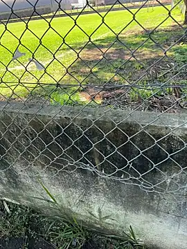 magraocam's live cam