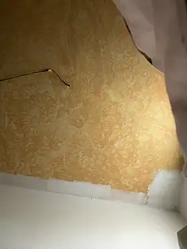 kamel455 live sex cam