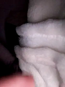 Webcam Model (Annerae) is live