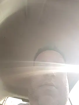 UrsoBissexualPauGrosso