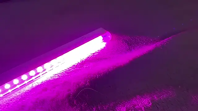 AlmaryKim's Stripchat show and profile