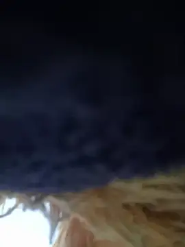 cintia_love - Cintia_love's free webcam - UK Sex Cams