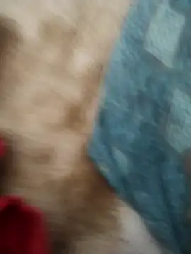 hyderabad_single webcam