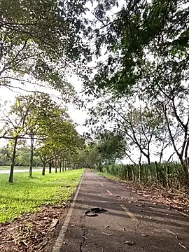 Maicol_xxxx live sex cam