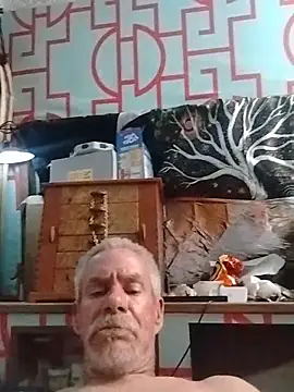 Live sex cam of Biknight