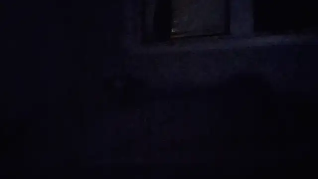 jezone555 (Ask my age) - Tip ** [freely] let the fun begin