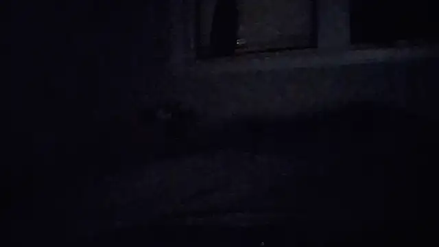 jezone555 (Ask my age) - Tip ** [freely] let the fun begin