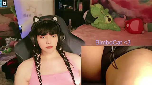 BimboCat webcam