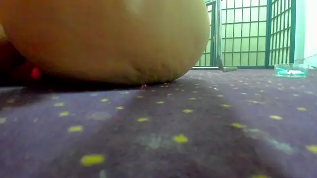 AishaRouhi live sex cam