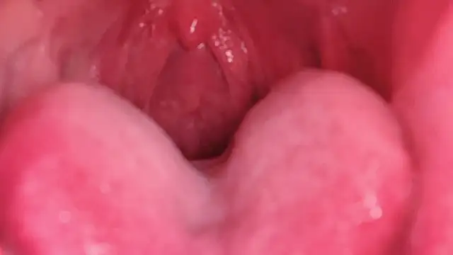 美女donghuangtaiyi---在线直播