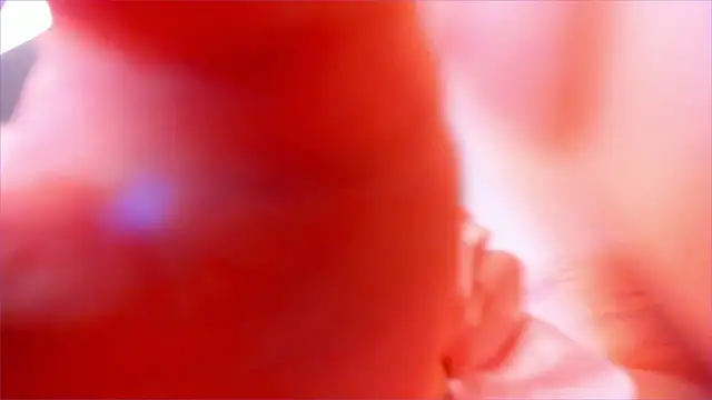 eva_davi (F young) - ANAL SHOW