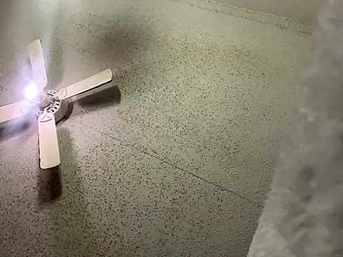 bigdick5157 (M young) - #american #anal #anal-toys #bisexuals #brunettes #cam2cam #ebony #ejaculation #handjob #hd #jerk-off-instruction #masturbation #medium #middle-priced-privates #mobile #recordable-publics #small-audience #striptease #young