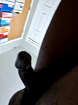 BlackDynasty67 webcam