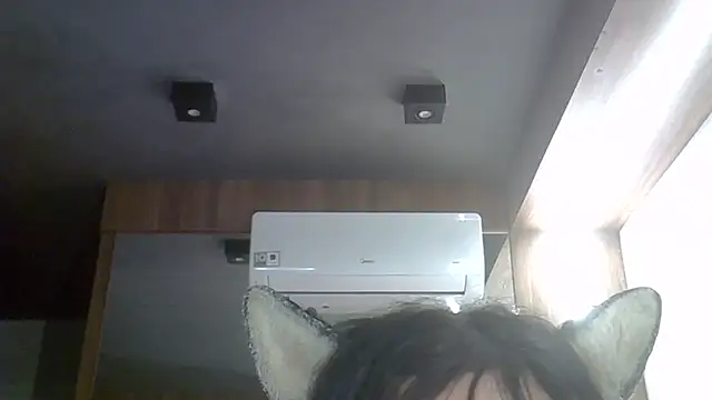 Afbeelding van SkinnyKitten