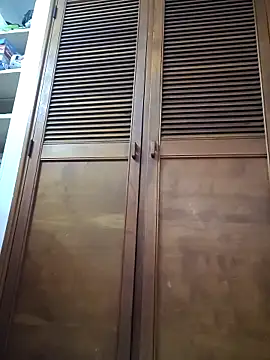 selena_gomez2 (F young) - Remove blouse