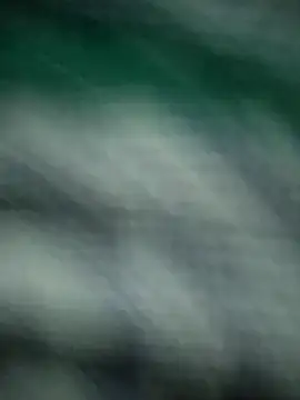 Rajendri-couple_sho98