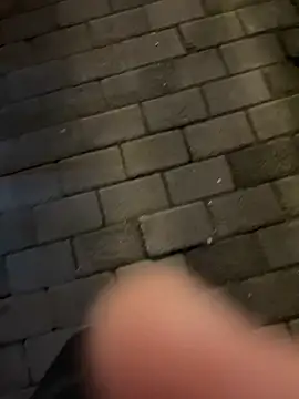 美女petoys在线直播