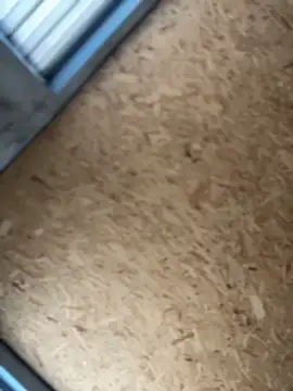 SweetCuteGirls1023 from StripChat is Freechat