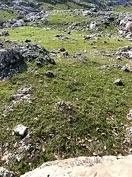 Sert_erkek21_ysm live sex cam