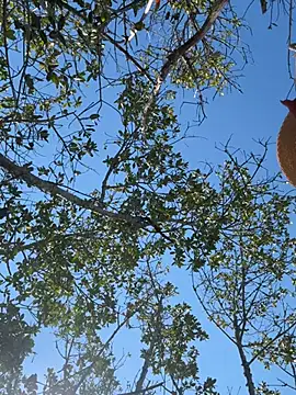 free chatting online Annablisss