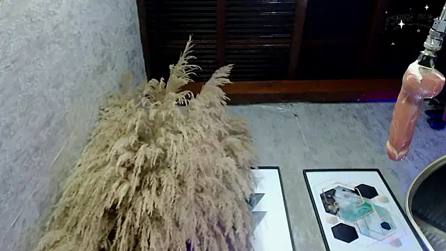 Lena_helleen live sex cam