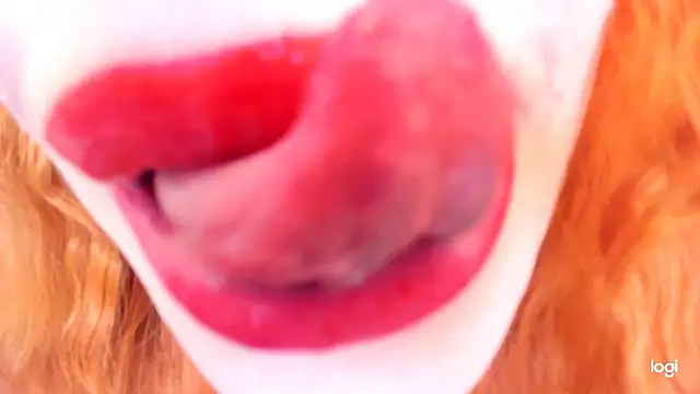 Softlysoftlyasbeauty