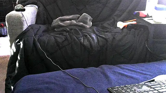 bud4party (M mature) - #american #anal-toys #bisexuals #cam2cam #cheap-privates #chunky #dirty-talk #doggy-style #mature #sexting #small-audience #white