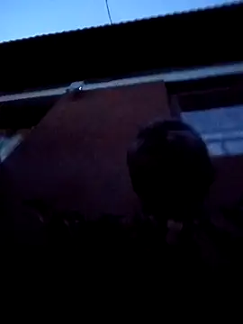 Webcam Model (RanniClara)  is live.Free join now!