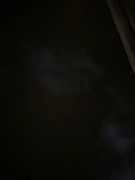 Stellan_0412's live cam