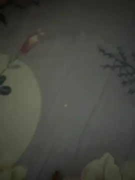 ______Cherry_____ webcam