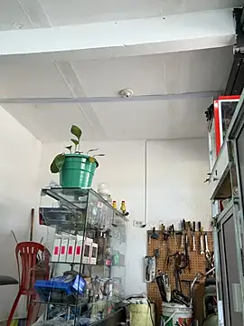 paul22cm- (Ask my age) - #anal-toys #ass-to-mouth #beardy #big-cocks #bisexuals #black-hair #cam2cam #cheap-privates #cock-rating #colombian #cosplay #daddies #deepthroat #dildo-or-vibrator #doggy-style #ejaculation #erotic-dance #fingering #flexing #handjob #hd #humiliation #interactive-toys #lovense #massage #masturbation #mobile #muscular #mustache #nipple-toys #office #oil-show #outdoor #penis-ring #precum #pump #recordable-privates #recordable-publics #rubbing #sex-toys #small-audience #spanish-speaking #spanking #sph #striptease #swallow #tattoos #top #twerk #white