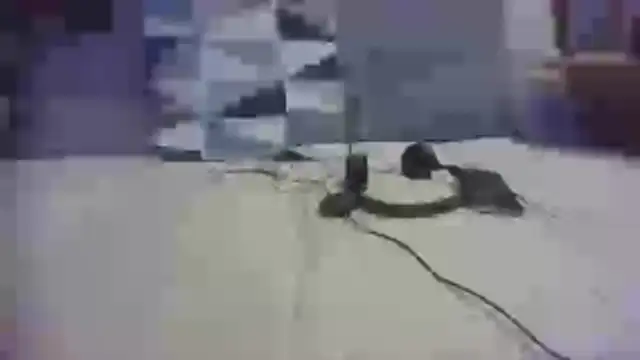 thicky_dicky_n webcam