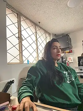 SALOME_KORLAND webcam