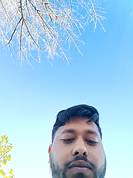 palmal3 (M young) - 500