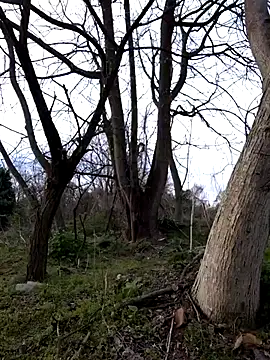 prince-sexy (M mature) - Cum