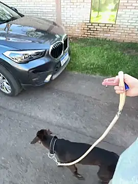 Lucasjandre's live cam