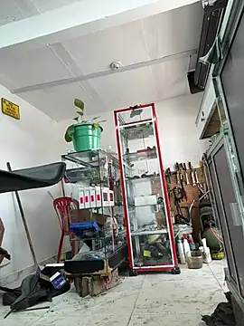 paul22cm- (Ask my age) - cum show + drink daddy paul