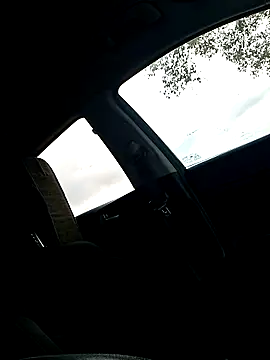 214KingLonggg webcam