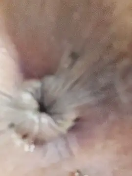 anni_ross (F young) - zoom ass🔥🔥