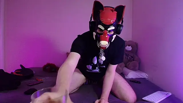 K9_GoodBoy webcam
