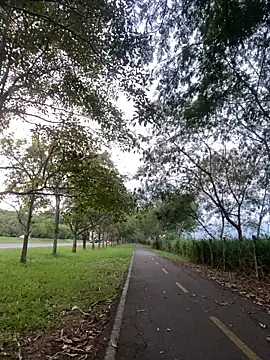 Maicol_xxxx Live Webcam on Stripchat