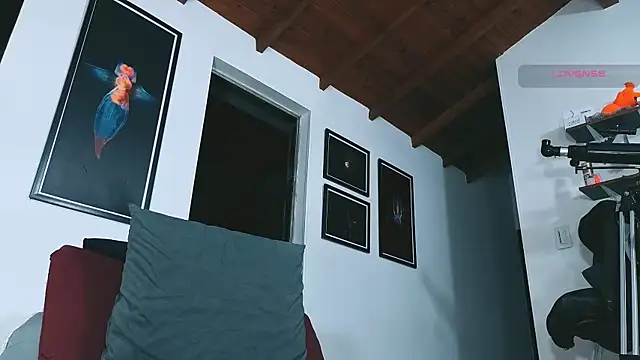 silvabranko (M young) - cum time