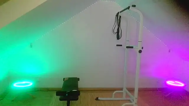 NinjaLaser's live cam