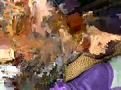 MsSapPhire500 webcam