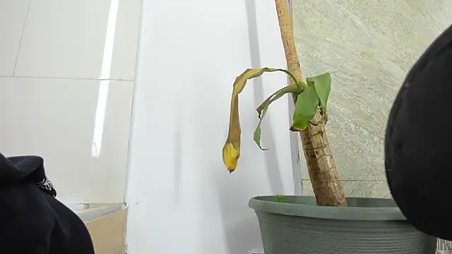 Mick-lollipop live sex cam