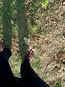 dolphiinn (M young) - ✨ 🦚 🐐 Outdoor Naked 🐐✨🦚🦚🦚🐐🐐