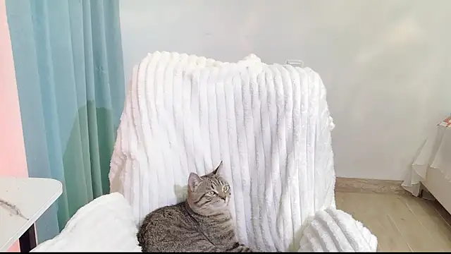 ximei-o (F teen) - 特写小粉插入bb5分钟