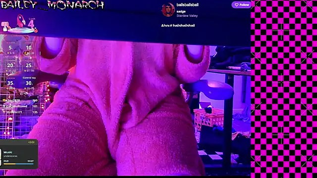 baileymonarch webcam