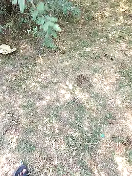 rameshmry1 (M young) - #brunettes #cam2cam #dirty-talk #erotic-dance #foot-fetish #handjob #hd #indian #middle-priced-privates #mobile #muscular #outdoor #recordable-privates #recordable-publics #sexting #small-audience #straight #young